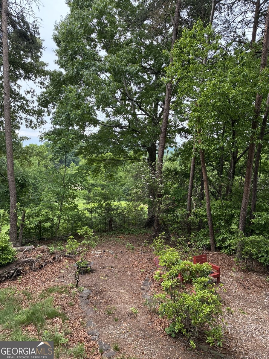 1264 Pink Mountain Boulevard Cleveland - Photo 18