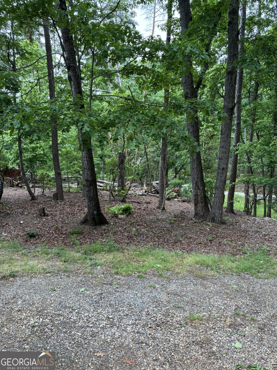 1264 Pink Mountain Boulevard Cleveland - Photo 84