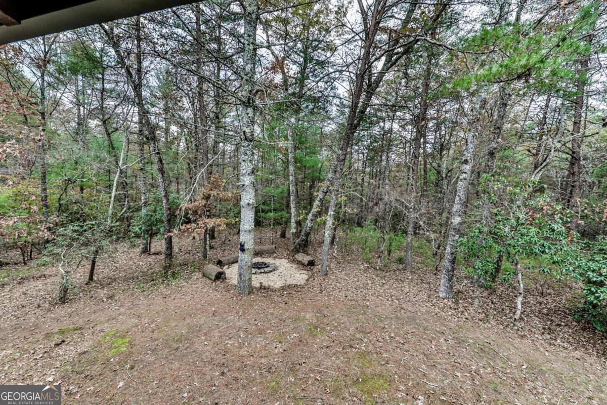 245 Weeks Creek Road Blue Ridge - Photo 36