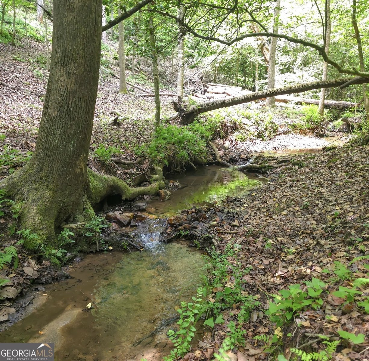285 Wolf Den Road Royston - Photo 59