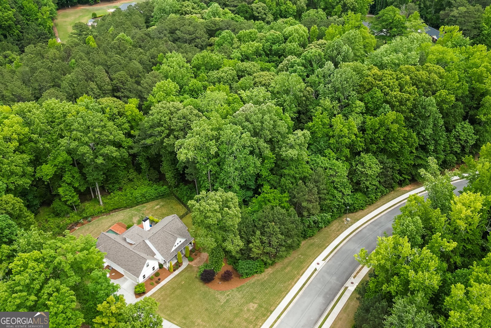 105 Laurel Forest Drive Tyrone - Photo 75