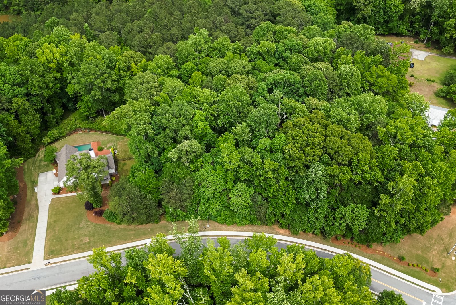 105 Laurel Forest Drive Tyrone - Photo 77