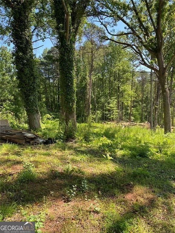 4682 Stonewall Tell Road Atlanta - Photo 17