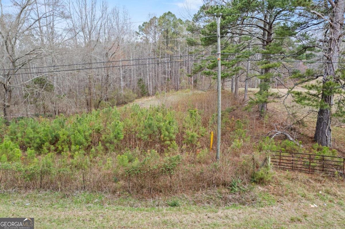 5534 Steadman Road Tallapoosa - Photo 33