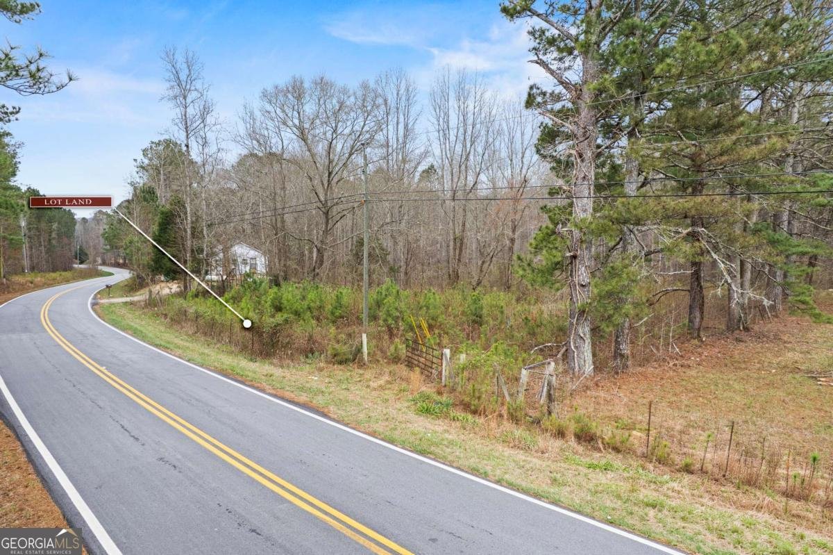 5534 Steadman Road Tallapoosa - Photo 35