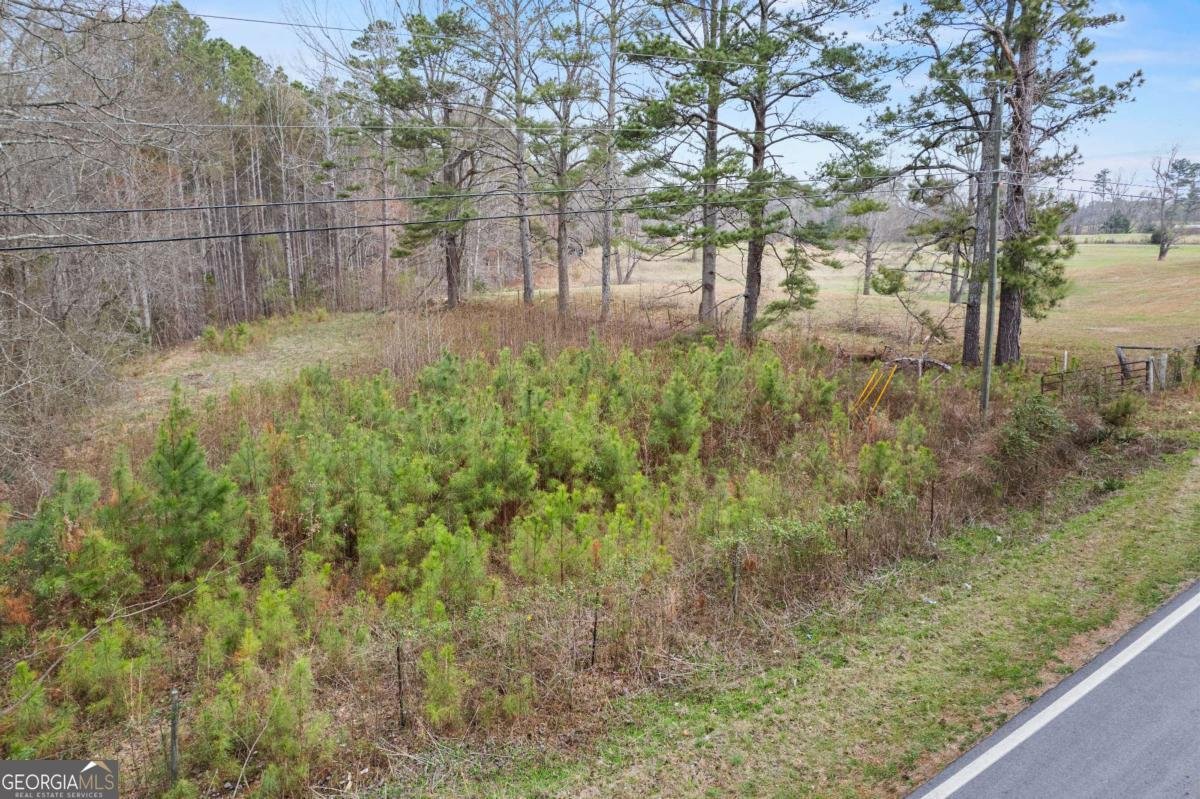 5534 Steadman Road Tallapoosa - Photo 36