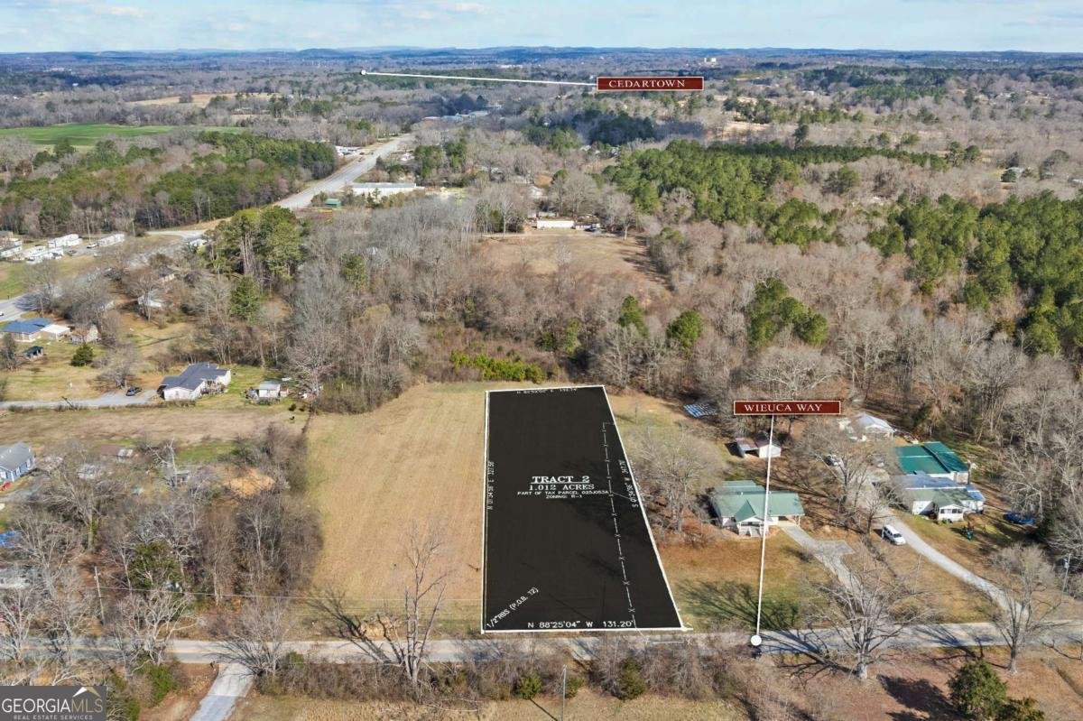 TRACT2 WIEUCA Way Cedartown - Photo 35