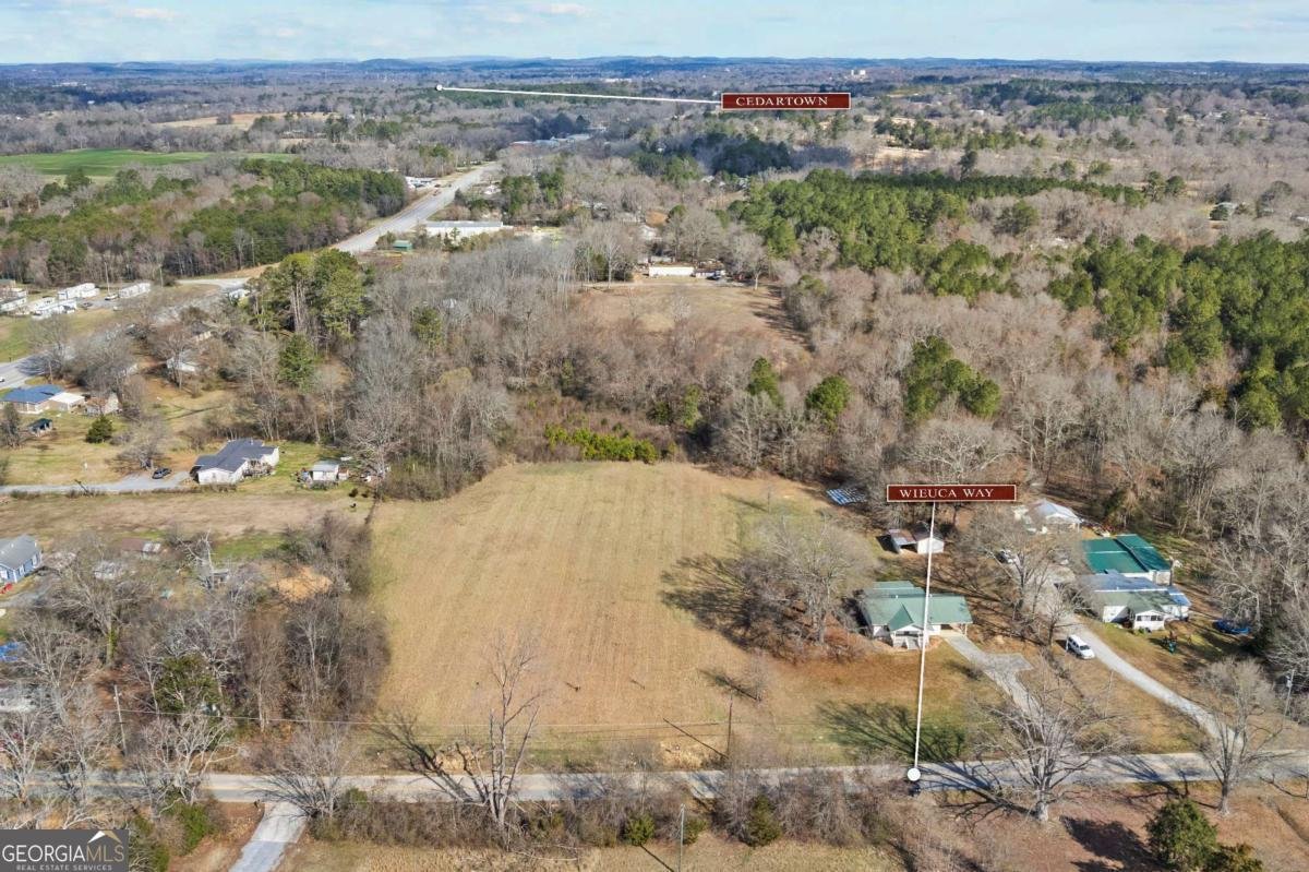 TRACT2 WIEUCA Way Cedartown - Photo 40