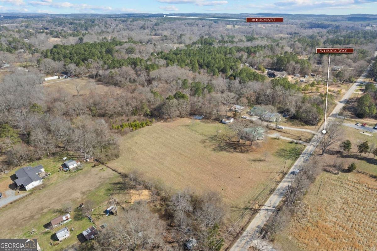 TRACT2 WIEUCA Way Cedartown - Photo 41