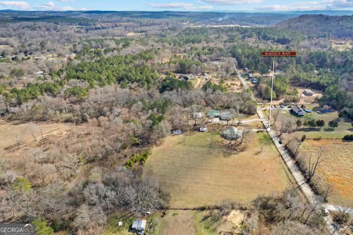 TRACT2 WIEUCA Way Cedartown - Photo 42