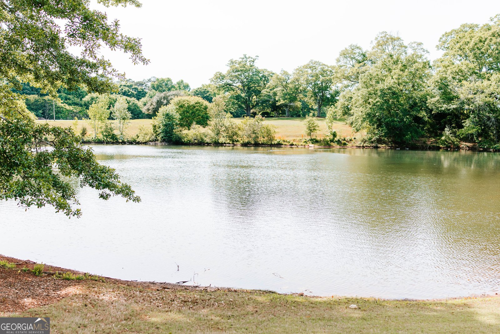 1020 Lake Pointe Drive Watkinsville - Photo 51