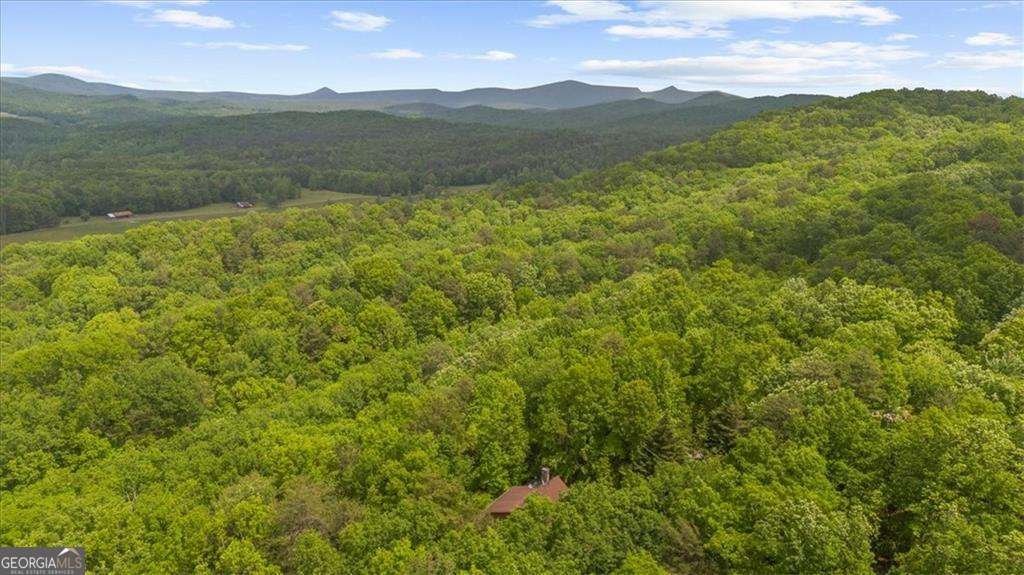 470 Sautee Ridge Road Clarkesville - Photo 34