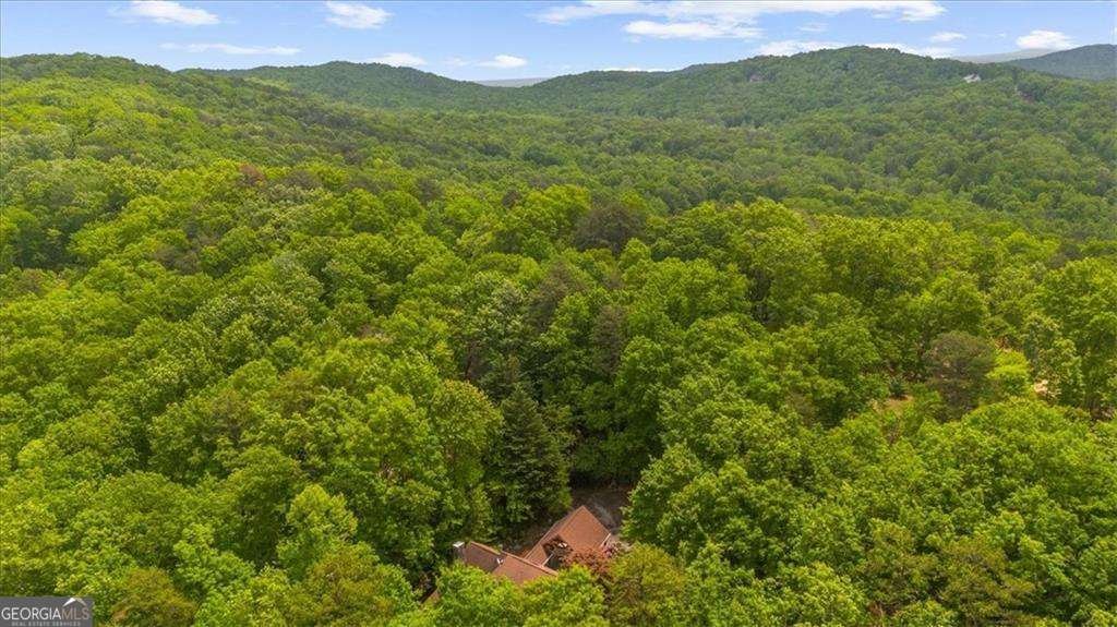 470 Sautee Ridge Road Clarkesville - Photo 37