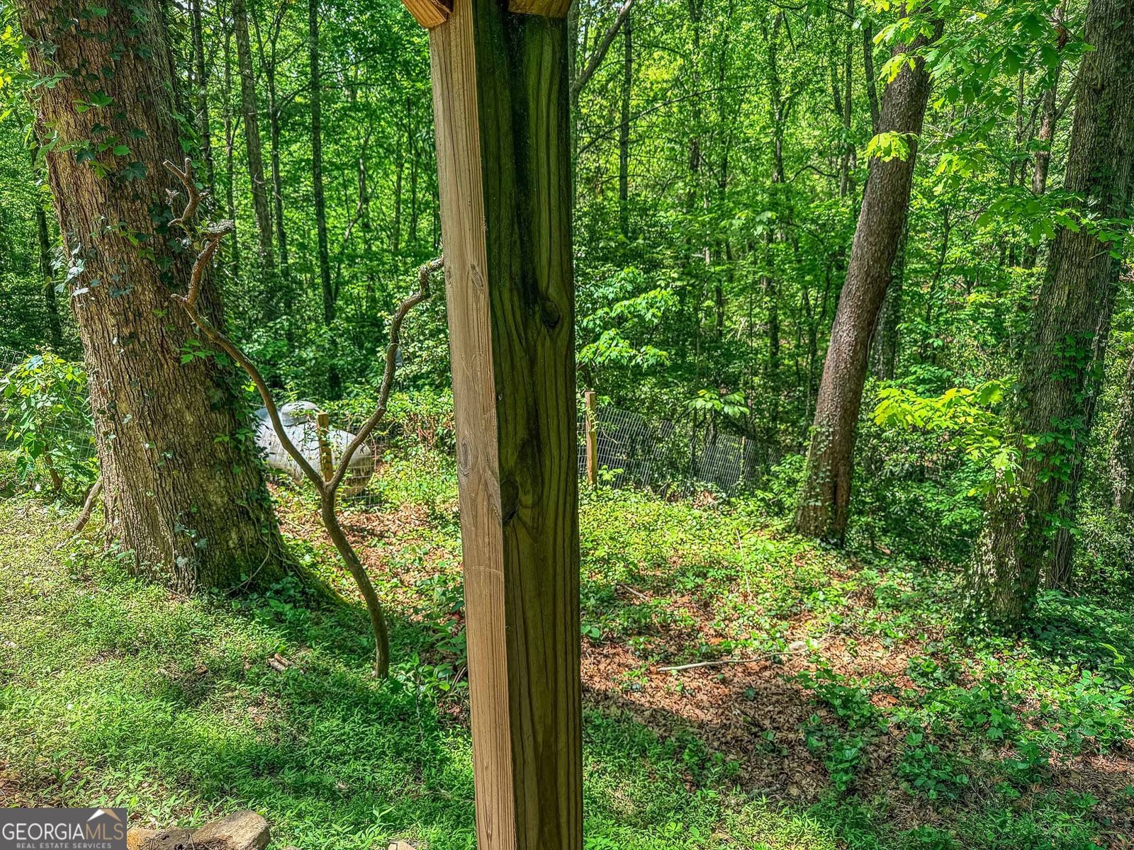 407 Hillside Drive Clayton - Photo 45