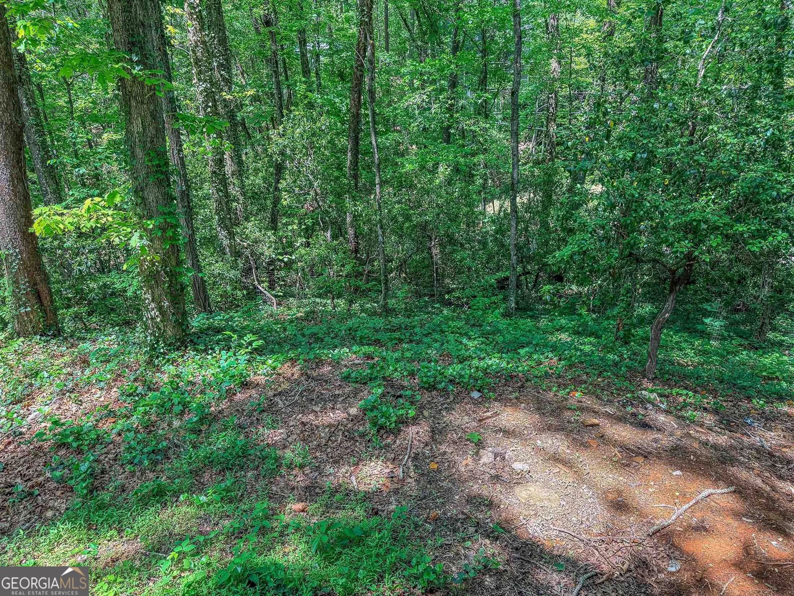 407 Hillside Drive Clayton - Photo 46