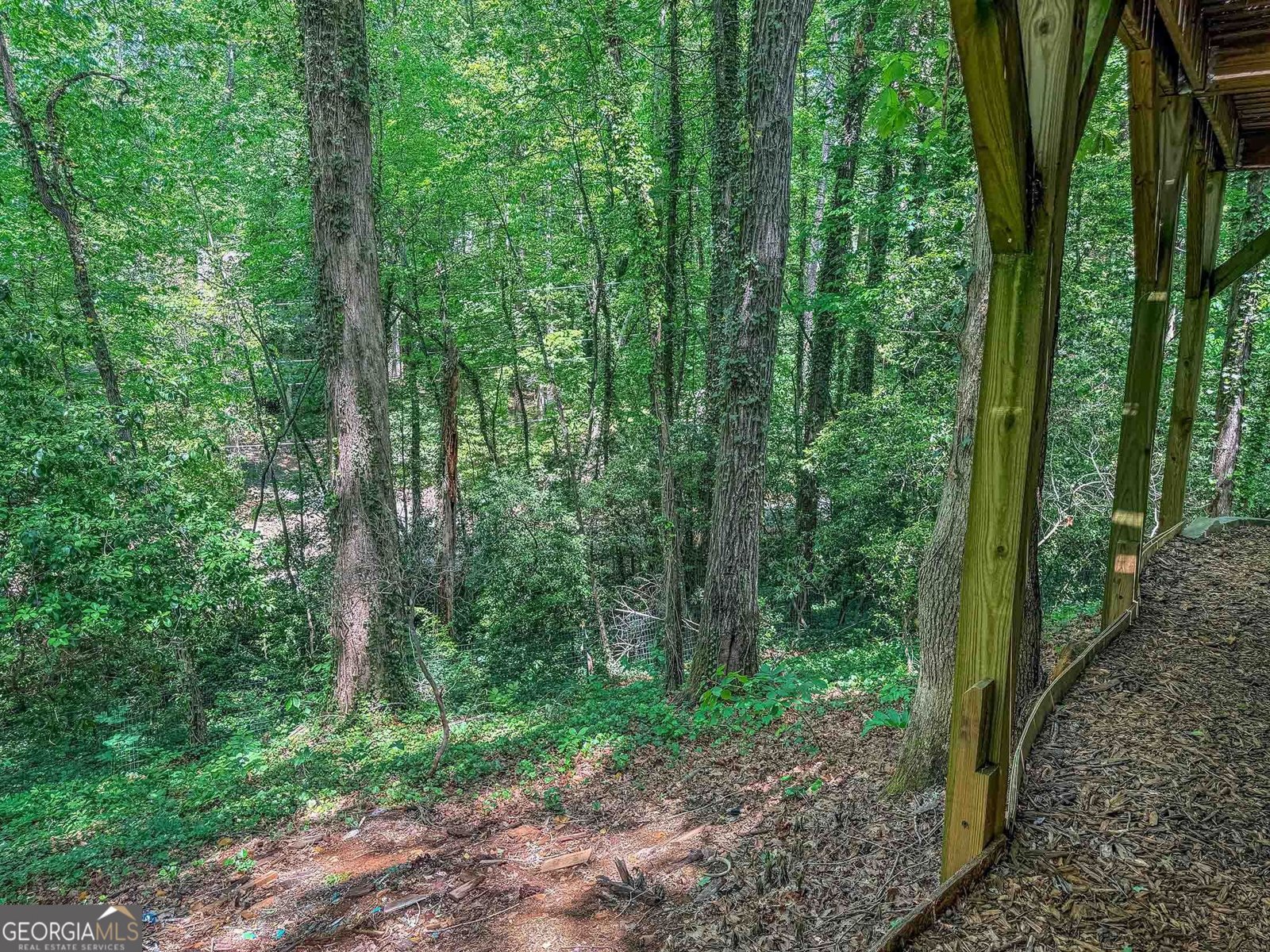407 Hillside Drive Clayton - Photo 47