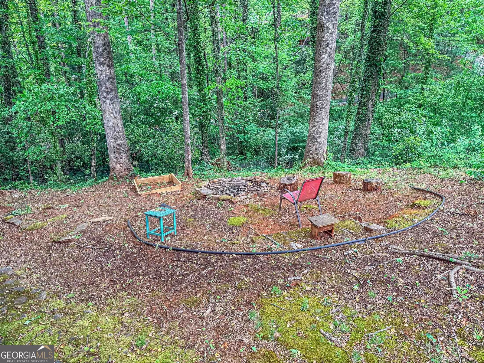 407 Hillside Drive Clayton - Photo 6