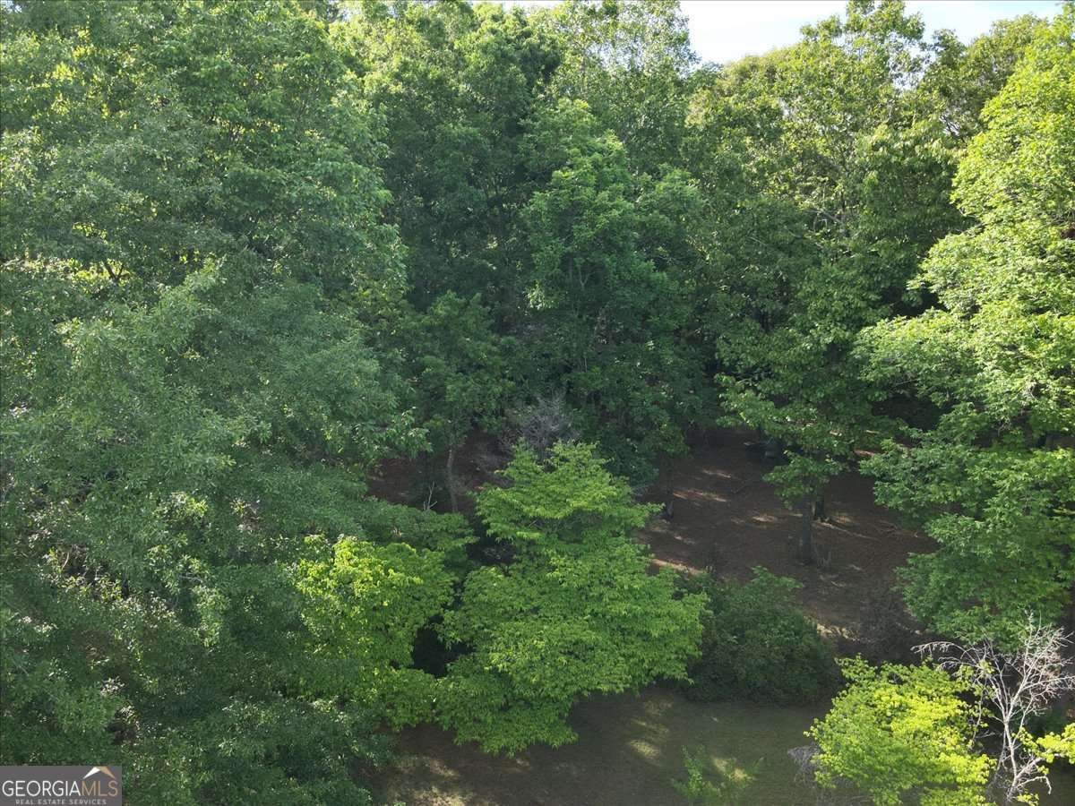 2033 Peeksville Road Locust Grove - Photo 12