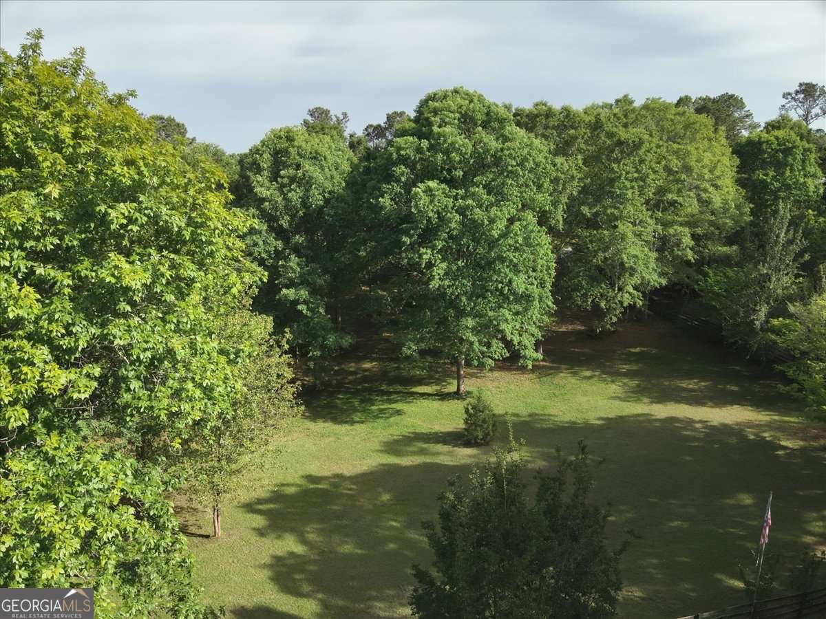 2033 Peeksville Road Locust Grove - Photo 13