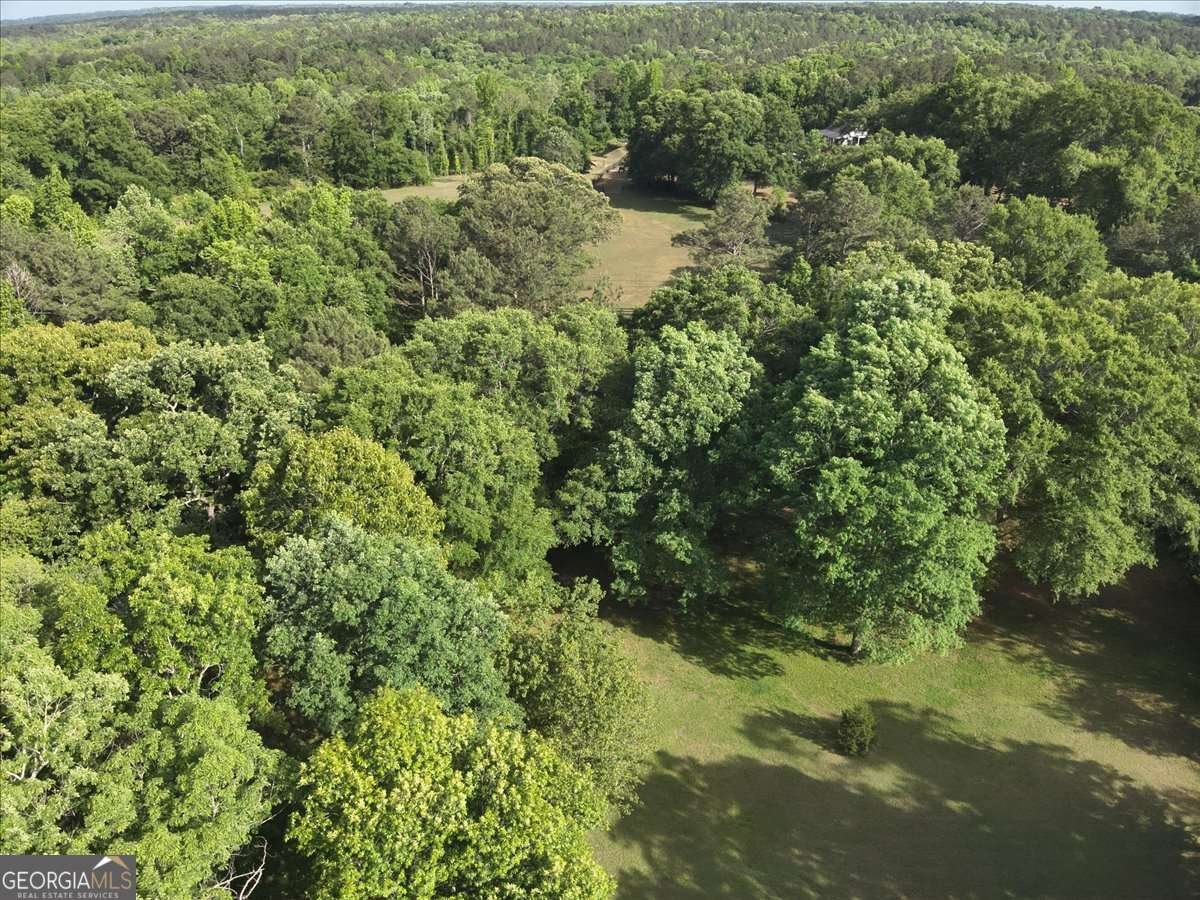 2033 Peeksville Road Locust Grove - Photo 15