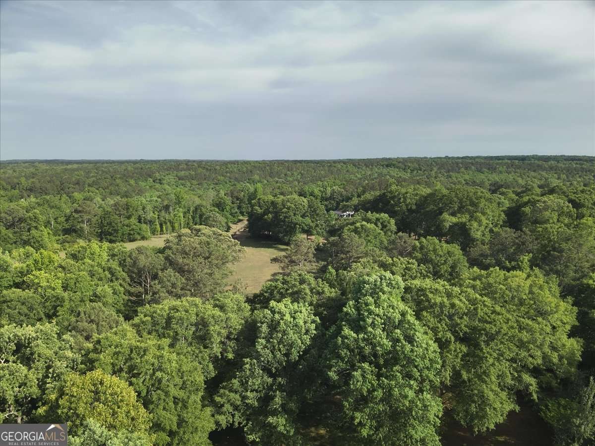 2033 Peeksville Road Locust Grove - Photo 16