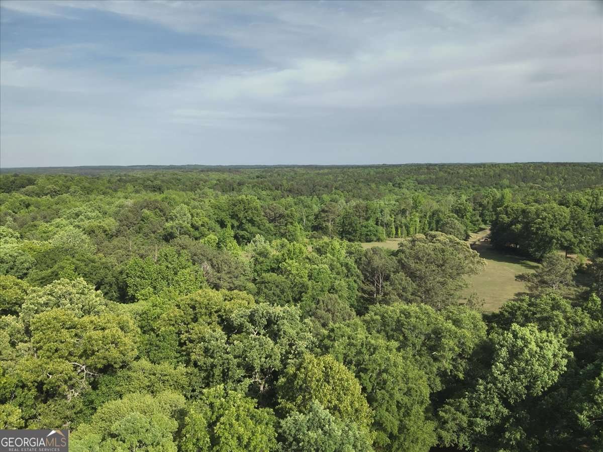 2033 Peeksville Road Locust Grove - Photo 17