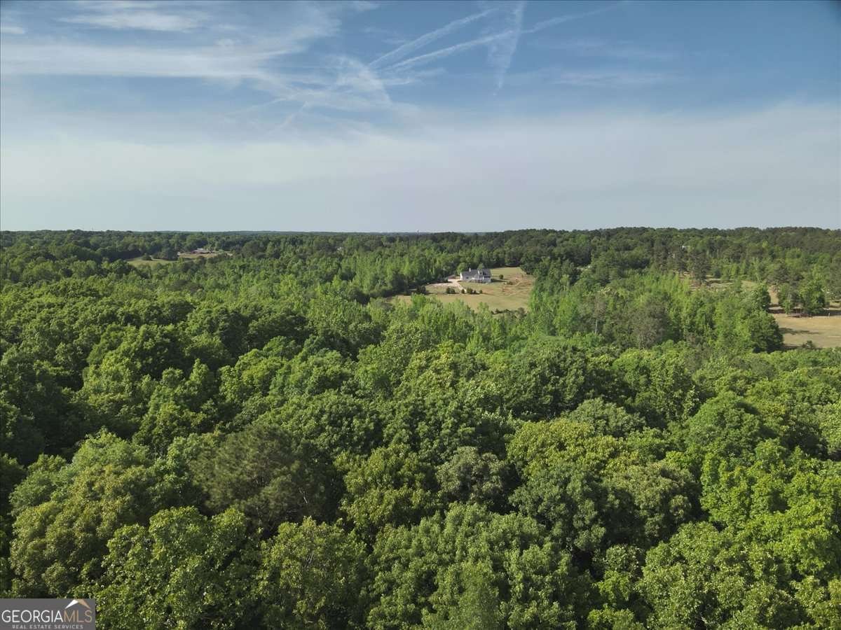 2033 Peeksville Road Locust Grove - Photo 18