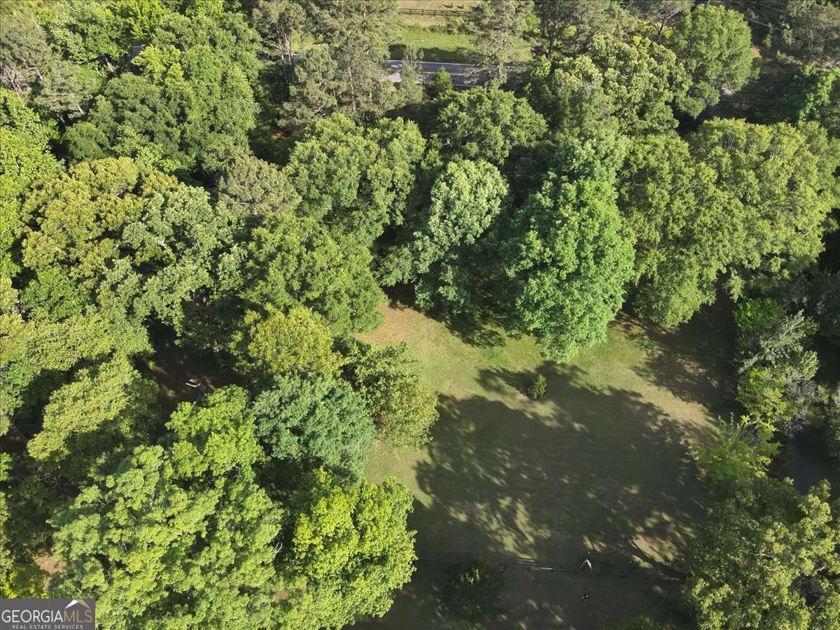 2033 Peeksville Road Locust Grove - Photo 21