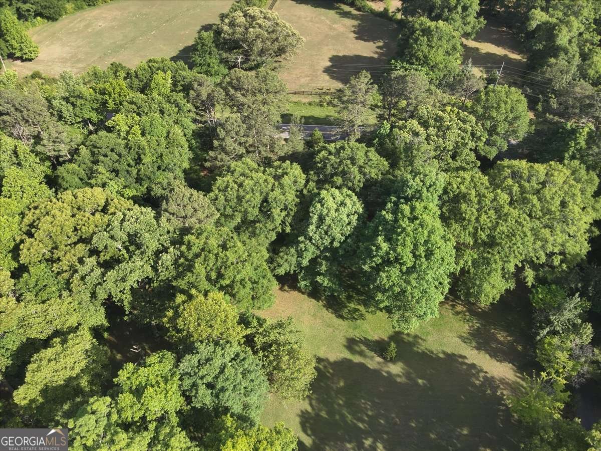 2033 Peeksville Road Locust Grove - Photo 22