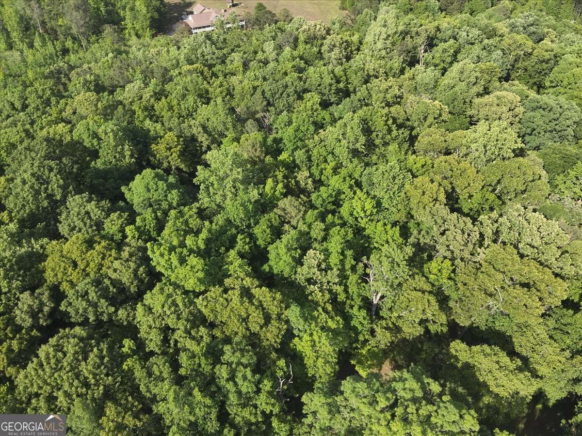 2033 Peeksville Road Locust Grove - Photo 23