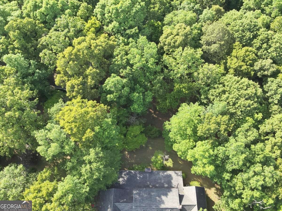 2033 Peeksville Road Locust Grove - Photo 25