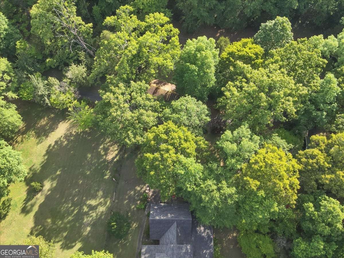 2033 Peeksville Road Locust Grove - Photo 26