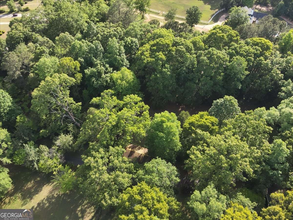 2033 Peeksville Road Locust Grove - Photo 27