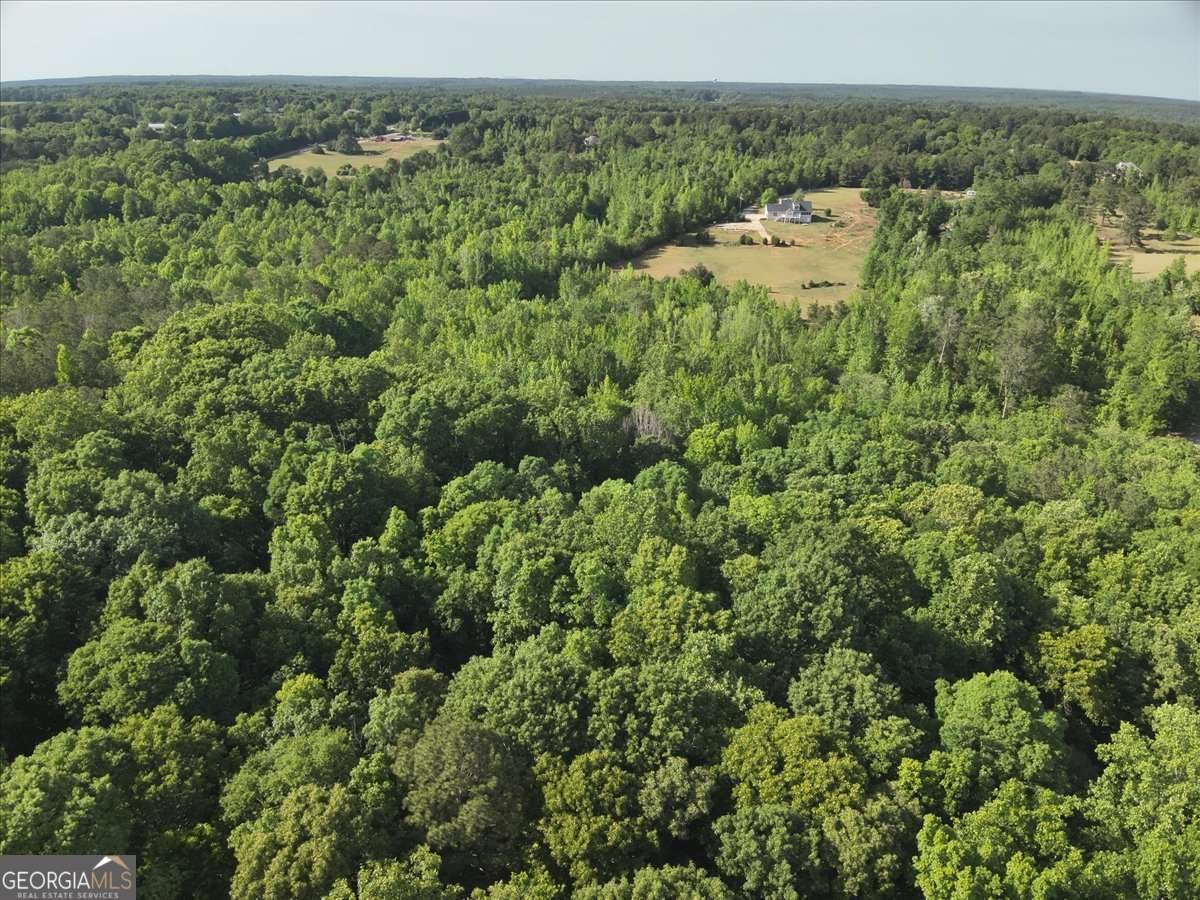 2033 Peeksville Road Locust Grove - Photo 28