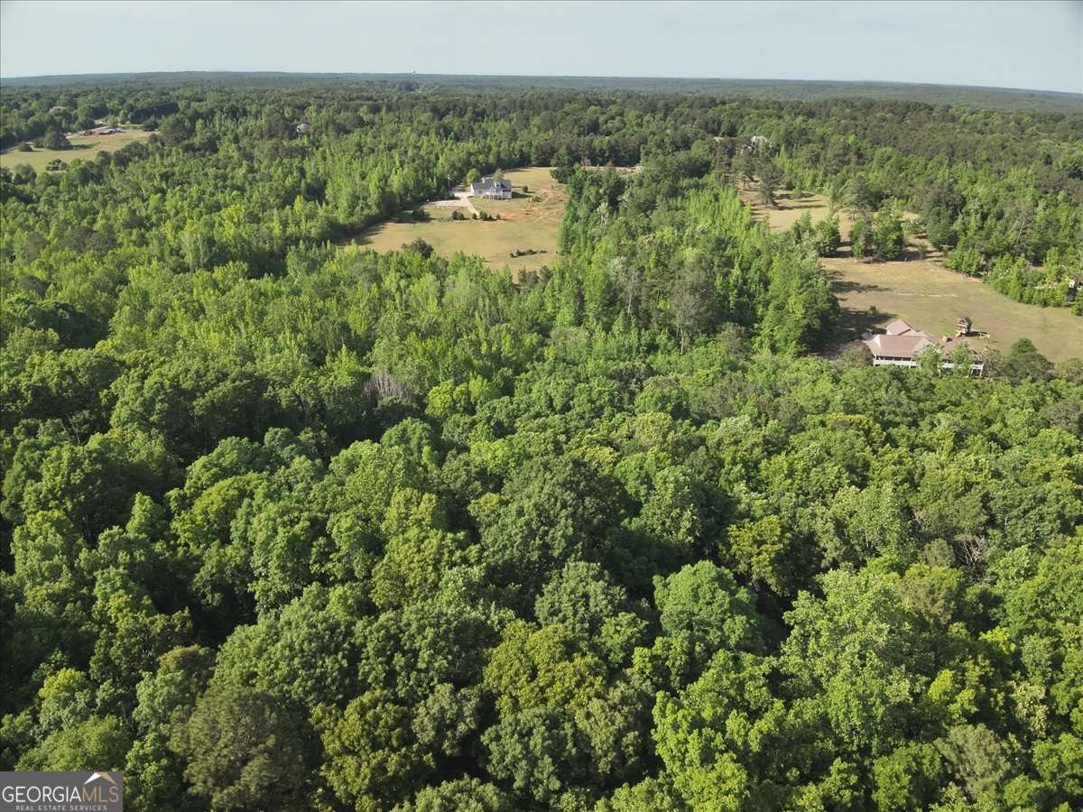 2033 Peeksville Road Locust Grove - Photo 29