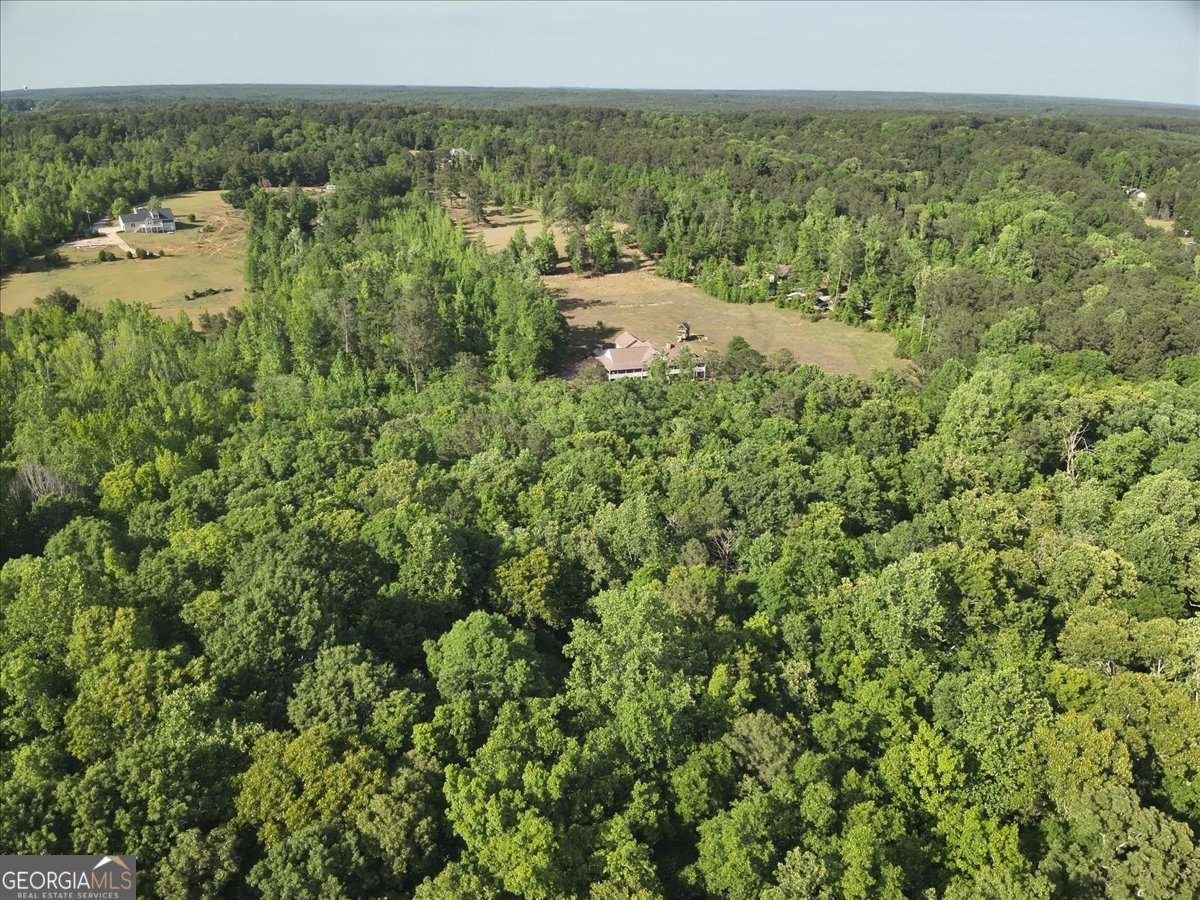 2033 Peeksville Road Locust Grove - Photo 30