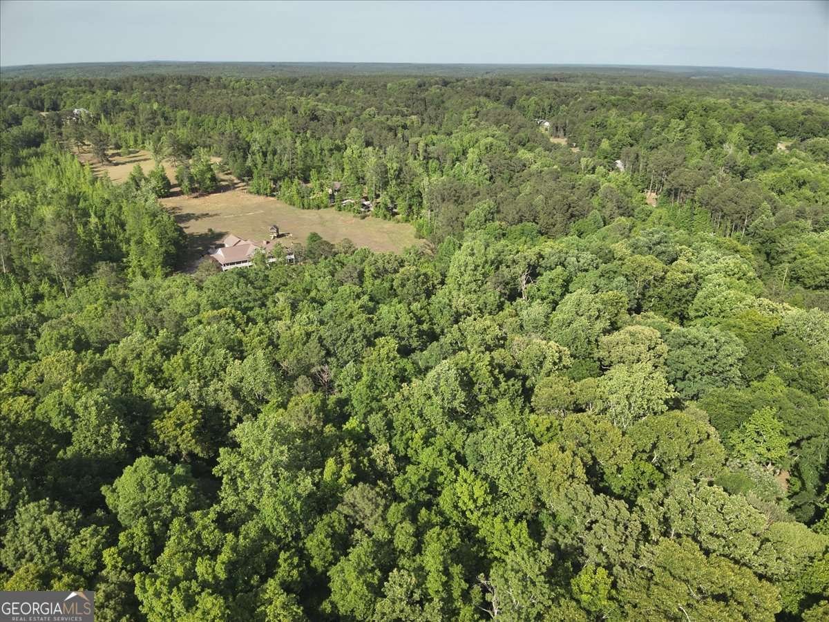 2033 Peeksville Road Locust Grove - Photo 31