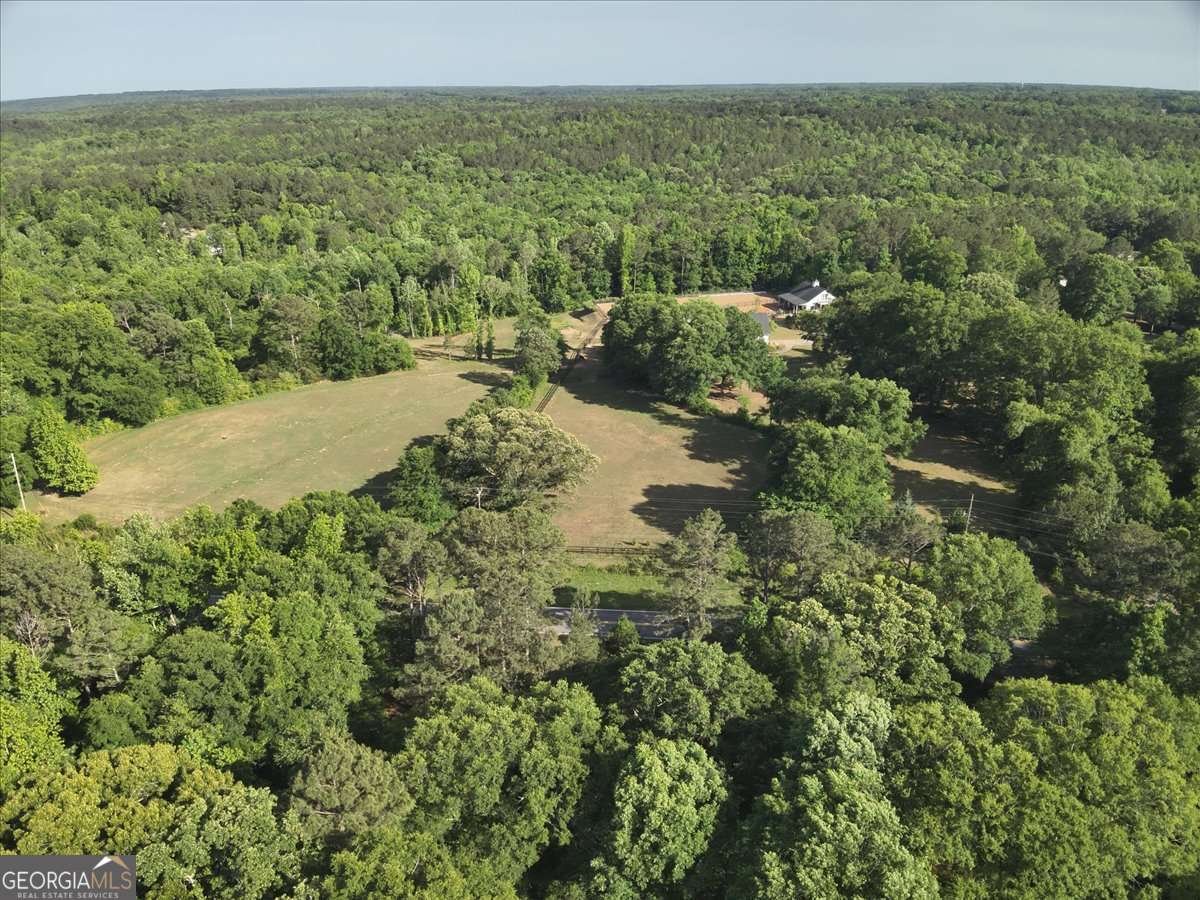 2033 Peeksville Road Locust Grove - Photo 32