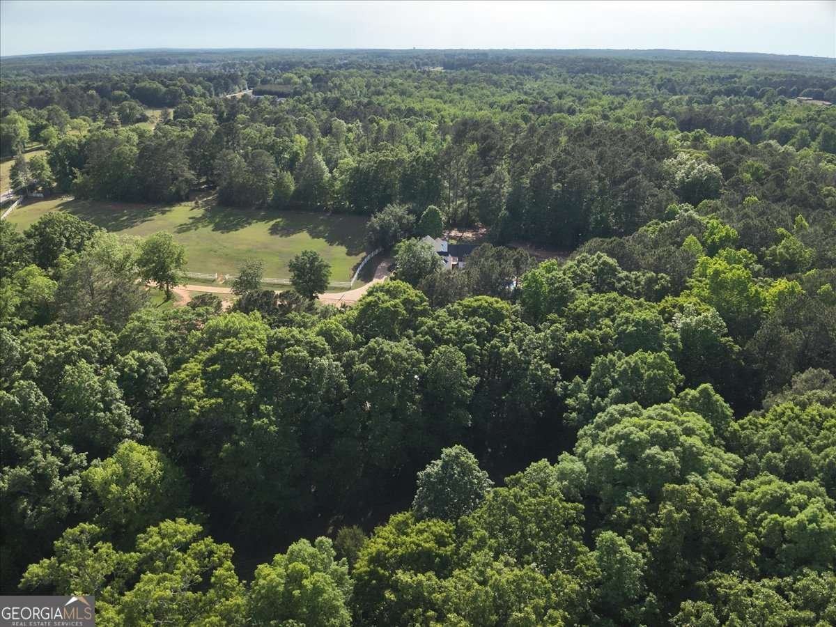 2033 Peeksville Road Locust Grove - Photo 35