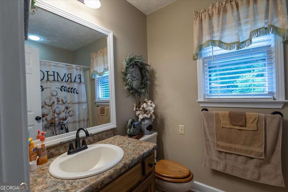 2033 Peeksville Road Locust Grove - Photo 42