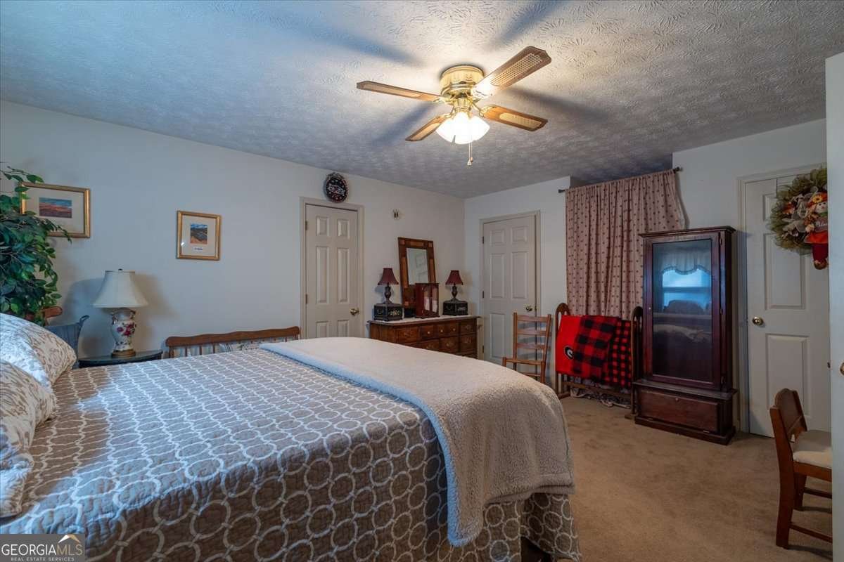 2033 Peeksville Road Locust Grove - Photo 44