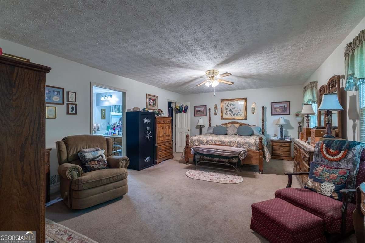 2033 Peeksville Road Locust Grove - Photo 48