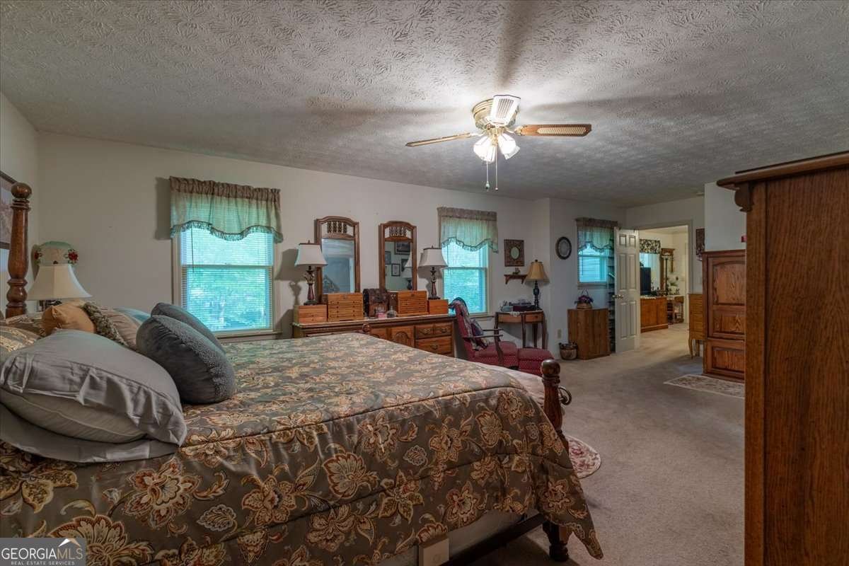 2033 Peeksville Road Locust Grove - Photo 49