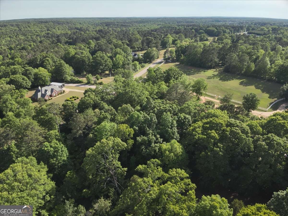 2033 Peeksville Road Locust Grove - Photo 78