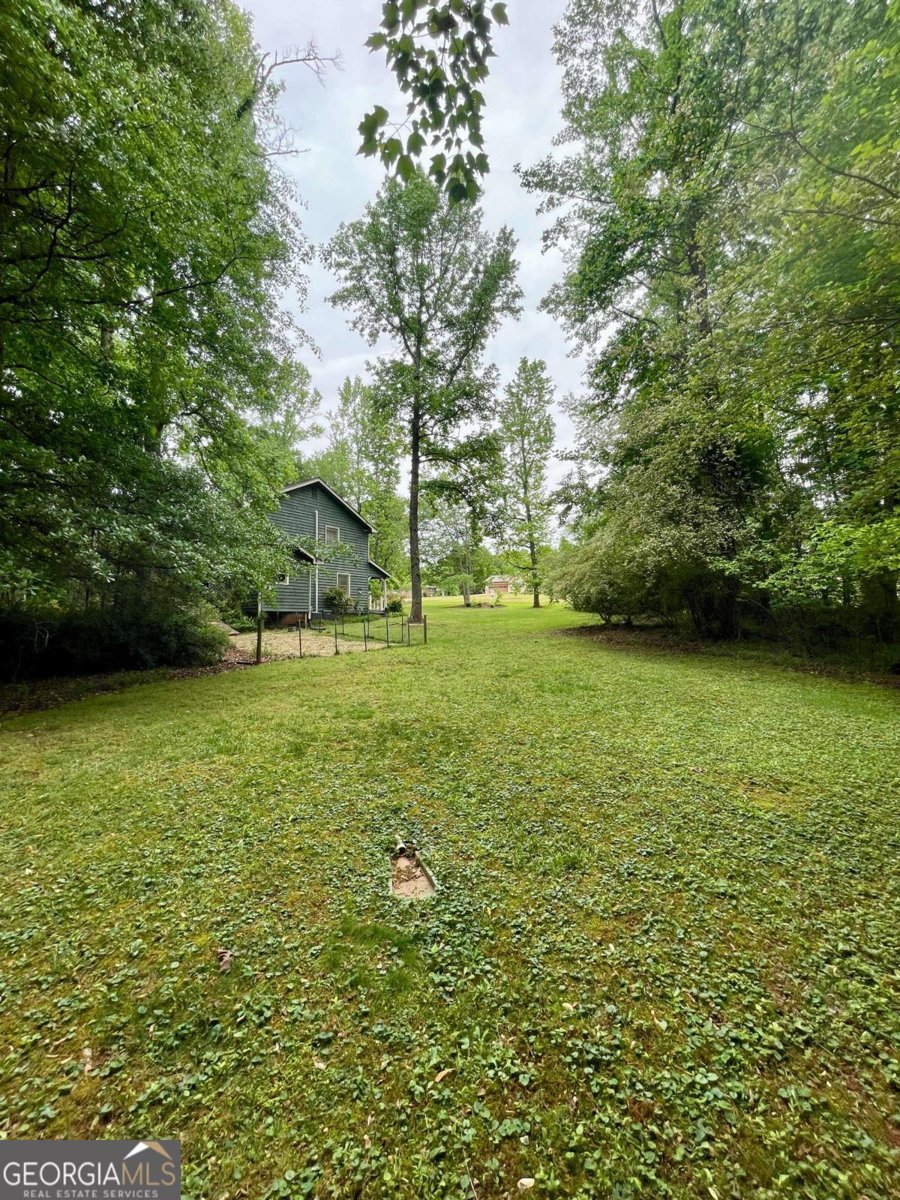 409 Pine Lake Drive Cumming - Photo 67