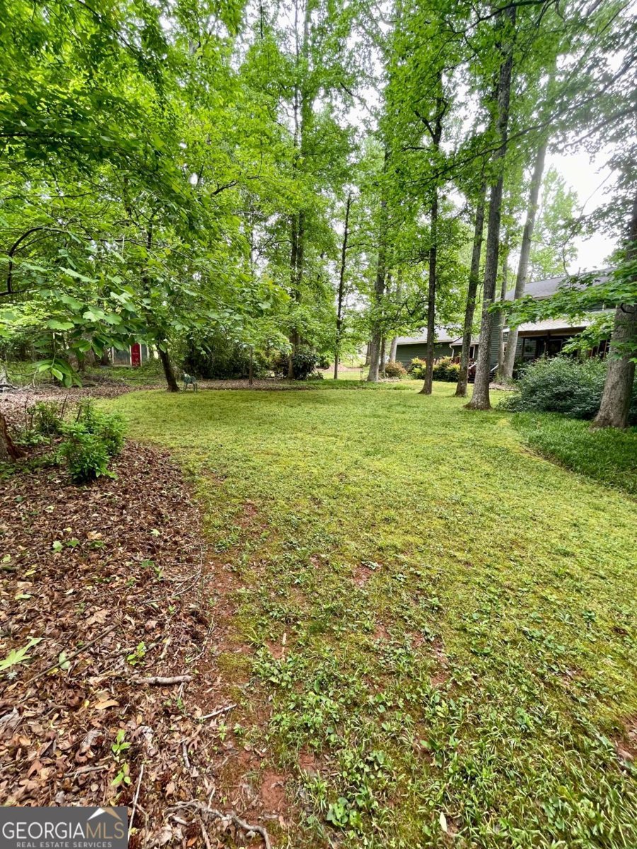 409 Pine Lake Drive Cumming - Photo 70