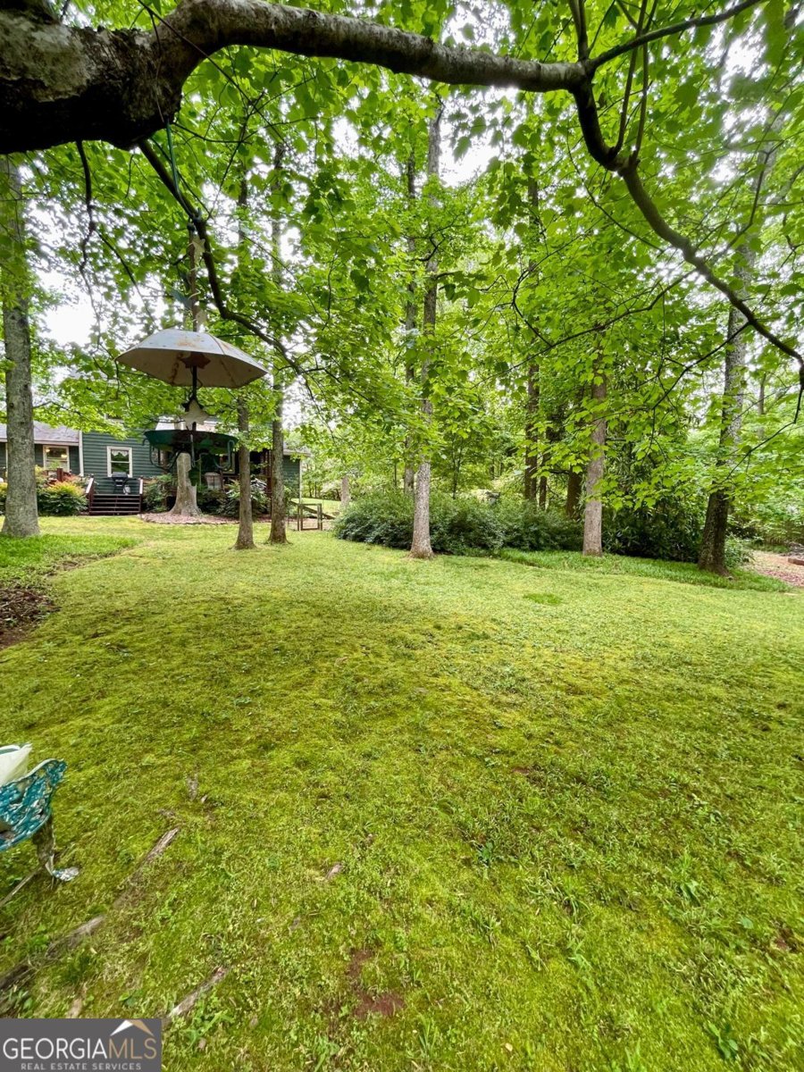 409 Pine Lake Drive Cumming - Photo 72