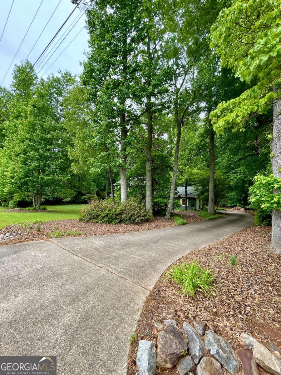 409 Pine Lake Drive Cumming - Photo 81