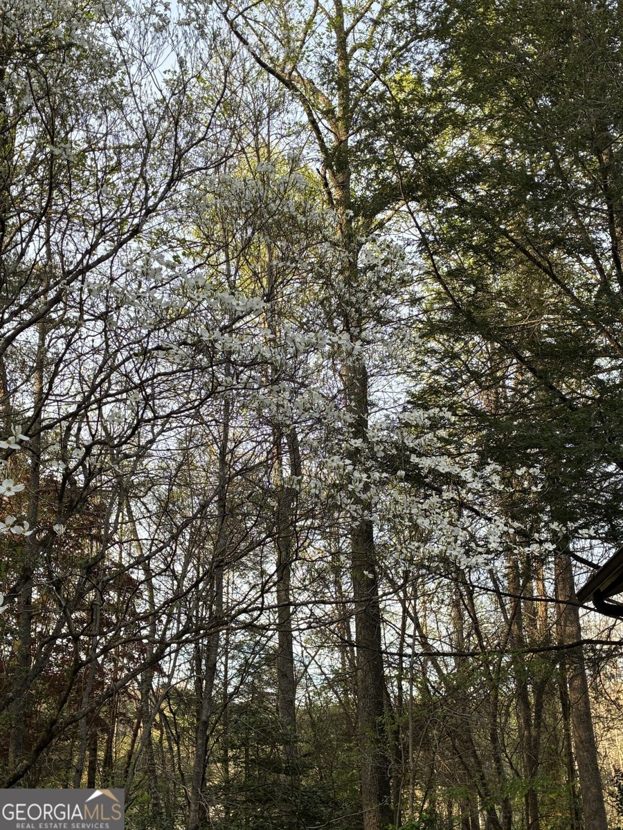 47 Harris Drive Blue Ridge - Photo 45