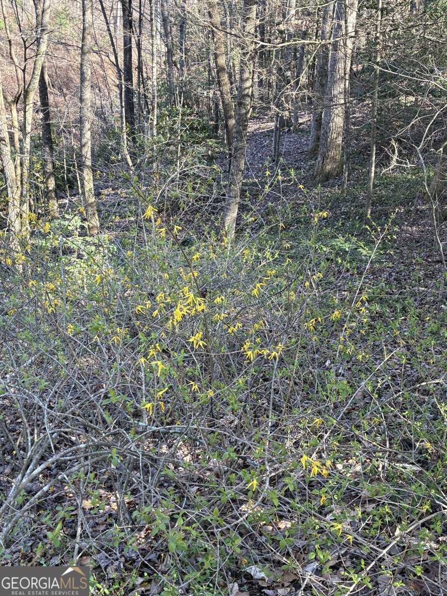 47 Harris Drive Blue Ridge - Photo 50